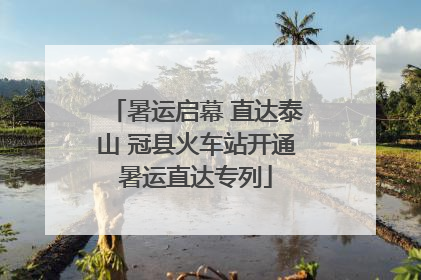 暑运启幕 直达泰山 冠县火车站开通暑运直达专列