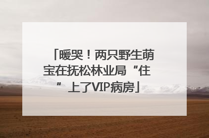 暖哭！两只野生萌宝在抚松林业局“住”上了VIP病房