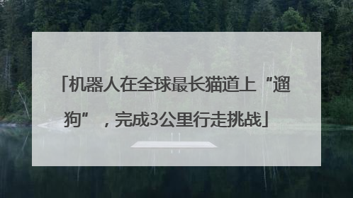 机器人在全球最长猫道上“遛狗”，完成3公里行走挑战