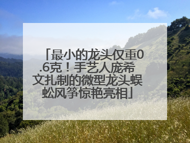 最小的龙头仅重0.6克！手艺人庞希文扎制的微型龙头蜈蚣风筝惊艳亮相