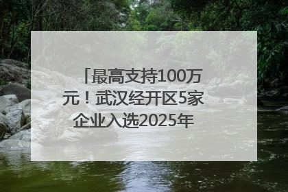 最高支持100万元！武汉经开区5家企业入选2025年度武汉市重点研发计划拟立项项目名单