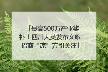 最高500万产业奖补！四川大英发布文旅招商“凉”方引关注