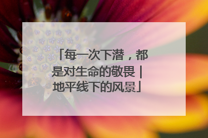 每一次下潜，都是对生命的敬畏｜地平线下的风景