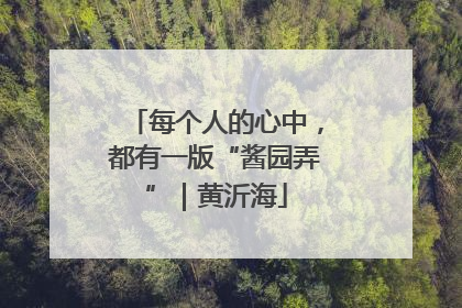 每个人的心中，都有一版“酱园弄”｜黄沂海