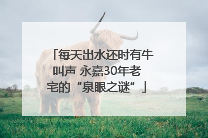 每天出水还时有牛叫声 永嘉30年老宅的“泉眼之谜”