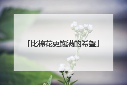 比棉花更饱满的希望