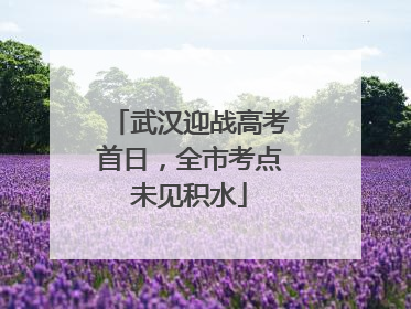 武汉迎战高考首日，全市考点未见积水