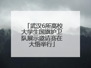 武汉6所高校大学生国旗护卫队展示邀请赛在大悟举行