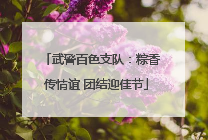 武警百色支队：粽香传情谊 团结迎佳节