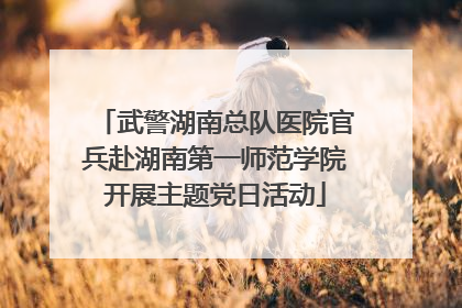 武警湖南总队医院官兵赴湖南第一师范学院开展主题党日活动
