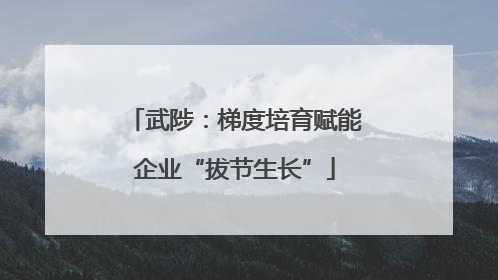 武陟：梯度培育赋能企业“拔节生长”