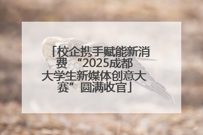 校企携手赋能新消费 “2025成都大学生新媒体创意大赛”圆满收官