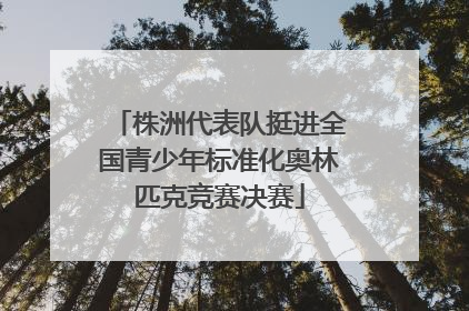 株洲代表队挺进全国青少年标准化奥林匹克竞赛决赛
