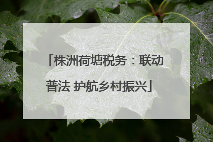 株洲荷塘税务：联动普法 护航乡村振兴