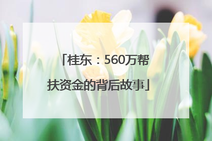 桂东：560万帮扶资金的背后故事