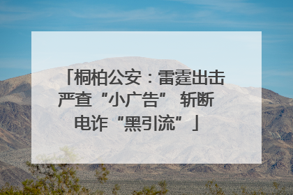 桐柏公安：雷霆出击严查“小广告” 斩断电诈“黑引流”