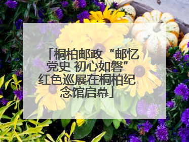 桐柏邮政“邮忆党史 初心如磐”红色巡展在桐柏纪念馆启幕