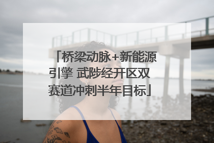 桥梁动脉+新能源引擎 武陟经开区双赛道冲刺半年目标