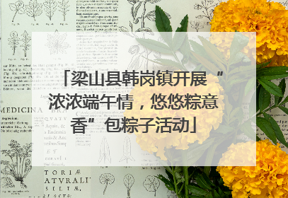 梁山县韩岗镇开展“浓浓端午情，悠悠粽意香”包粽子活动