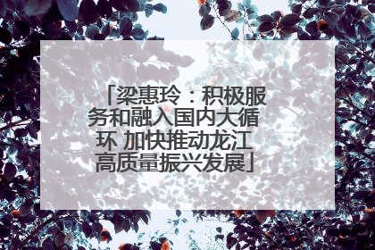 梁惠玲：积极服务和融入国内大循环 加快推动龙江高质量振兴发展