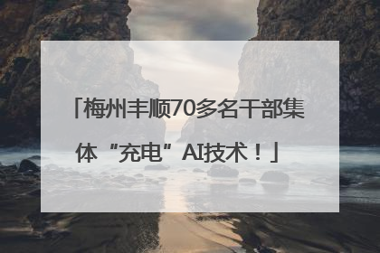 梅州丰顺70多名干部集体“充电”AI技术！