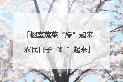 棚室蔬菜“绿”起来 农民日子“红”起来