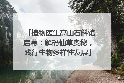 植物医生高山石斛馆启幕：解码仙草奥秘，践行生物多样性发展