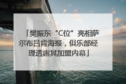 樊振东“C位”亮相萨尔布吕肯海报，俱乐部经理透露其加盟内幕
