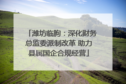 潍坊临朐：深化财务总监委派制改革 助力县属国企合规经营