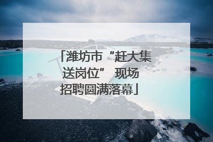 潍坊市“赶大集 送岗位” 现场招聘圆满落幕