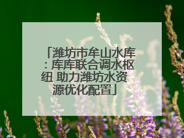 潍坊市牟山水库：库库联合调水枢纽 助力潍坊水资源优化配置
