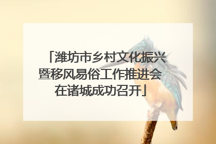 潍坊市乡村文化振兴暨移风易俗工作推进会在诸城成功召开