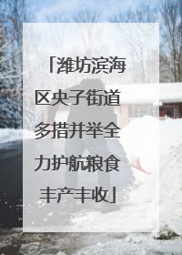 潍坊滨海区央子街道多措并举全力护航粮食丰产丰收