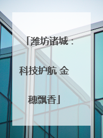潍坊诸城：科技护航 金穗飘香