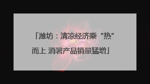 潍坊：清凉经济乘“热”而上 消暑产品销量猛增