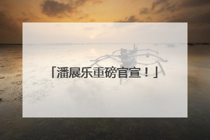 潘展乐重磅官宣！