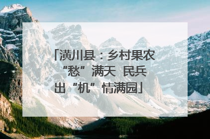 潢川县：乡村果农“愁”满天  民兵出“机”情满园