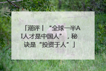 潮评丨“全球一半AI人才是中国人”，秘诀是“投资于人”