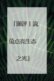 潮评丨流萤点亮生态之光