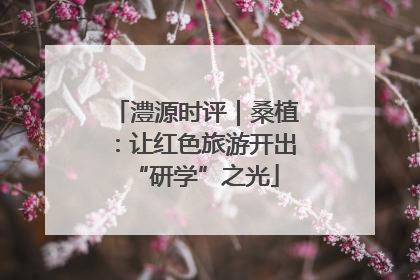 澧源时评｜桑植：让红色旅游开出“研学”之光