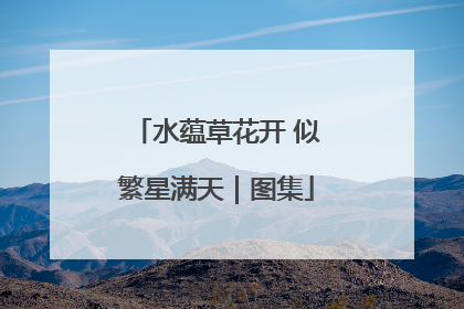 水蕴草花开 似繁星满天｜图集