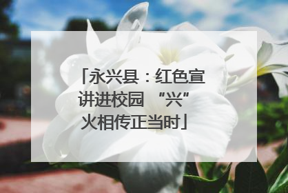 永兴县：红色宣讲进校园 “兴”火相传正当时