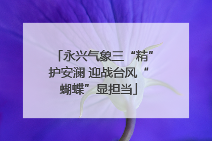 永兴气象三“精”护安澜 迎战台风“蝴蝶”显担当