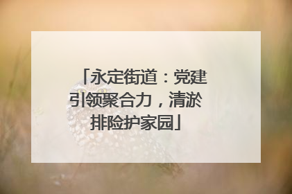永定街道：党建引领聚合力，清淤排险护家园