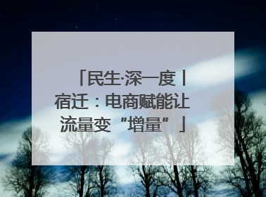 民生·深一度丨宿迁：电商赋能让流量变“增量”