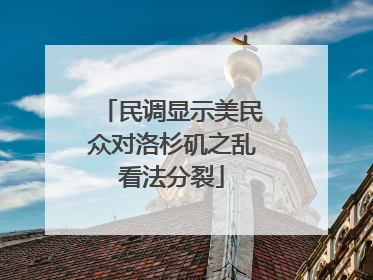 民调显示美民众对洛杉矶之乱看法分裂