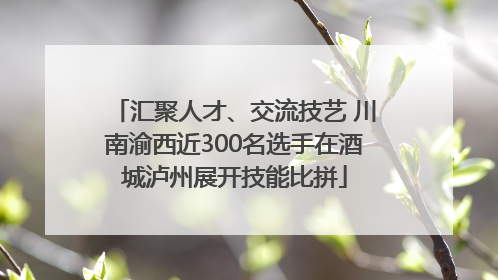 汇聚人才、交流技艺 川南渝西近300名选手在酒城泸州展开技能比拼
