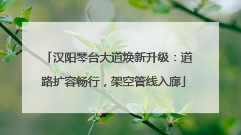 汉阳琴台大道焕新升级：道路扩容畅行，架空管线入廊