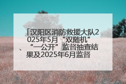 汉阳区消防救援大队2025年5月“双随机”、“一公开”监督抽查结果及2025年6月监督抽查任务公示