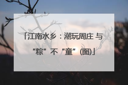 江南水乡：潮玩周庄 与“粽”不“童”(图)